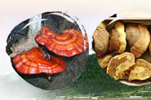 Doowon Agriculture Products Co