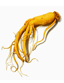 Những người nào không được sử dụng Nhân Sâm?