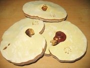 Sử dụng nấm linh chi hàn quốc như thế nào?