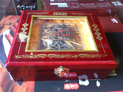 Đông trùng hạ thảo Tây Tạng nguyên con